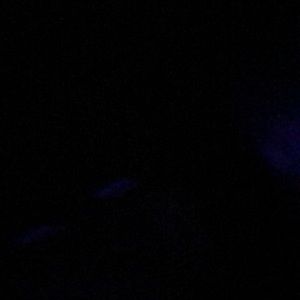 Meet your Posher, Jt